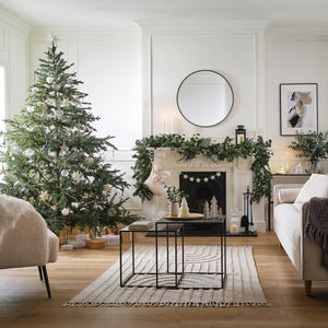 Adventi naptár - A téli erdő titkai